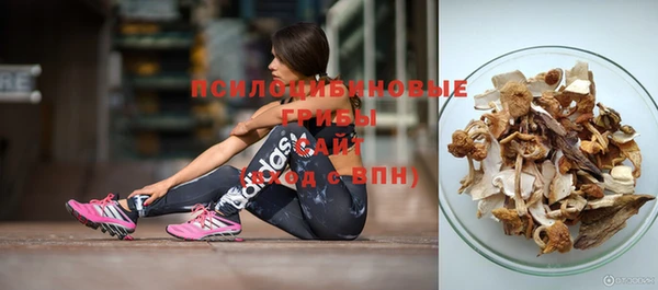 тгк Алзамай