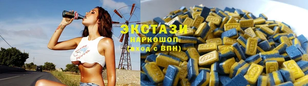 тгк Алзамай