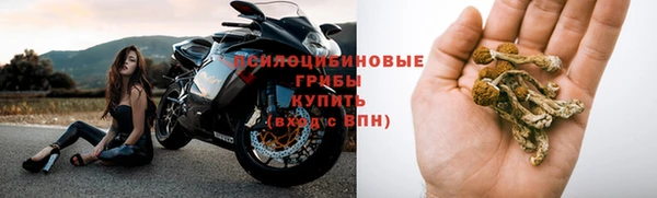 тгк Алзамай