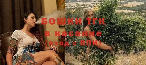 тгк Алзамай