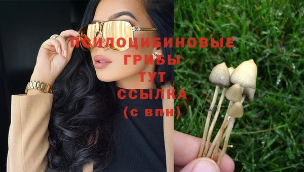 spice Алексеевка