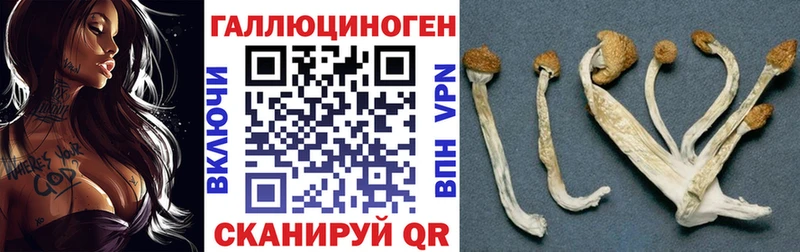 продажа наркотиков  Обоянь  Галлюциногенные грибы Magic Shrooms 